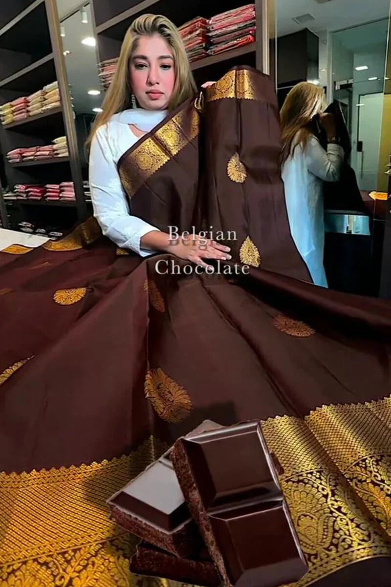 Aastha - Brown Soft Silk Saree with Jacquard Woven Motifs