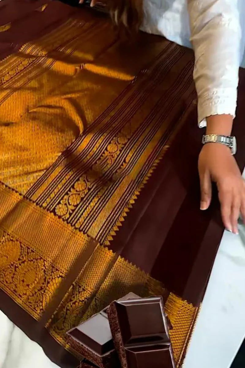 Aastha - Brown Soft Silk Saree with Jacquard Woven Motifs