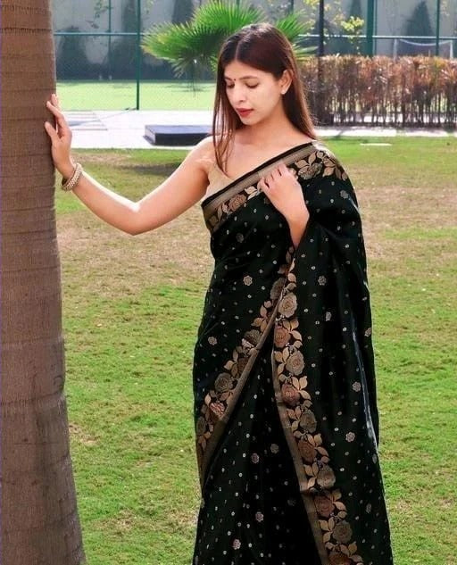 Chandrika - Black Soft Banarasi Silk Saree with Jacquard Weaving