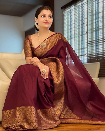 Nayira - Maroon Blue Soft Silk Saree with Silver Zari Border and Matching Blouse